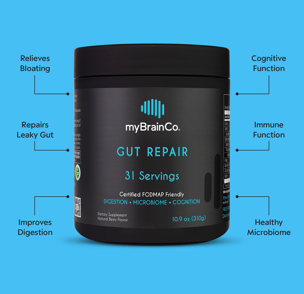 GUT REPAIR