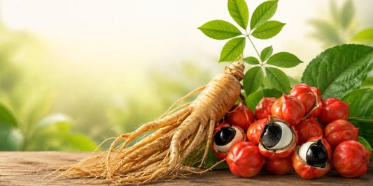 How Panax Ginseng and Guarana Support Our Brain’s Antioxidant Systems