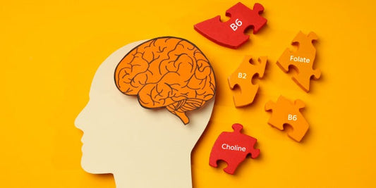 Methylation Nutrition for Brain Health
