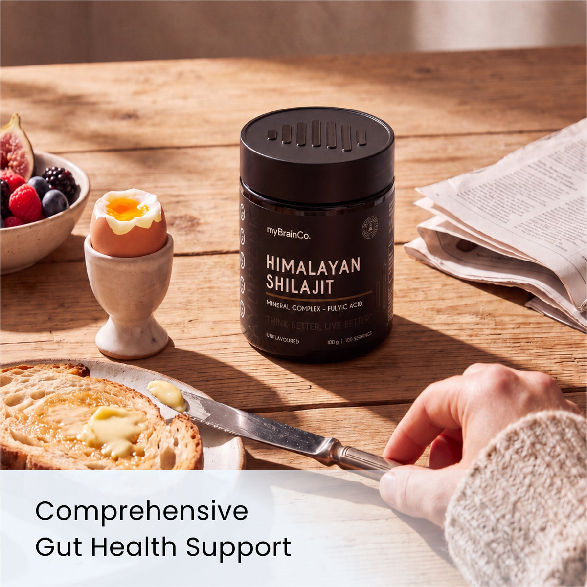 HIMALAYAN SHILAJIT